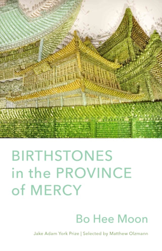 Cover image for 9781571315731 - Birthstones in the Province of Mercy