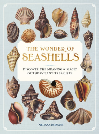 Cover image for 9781577155126 - The Wonder of Seashells