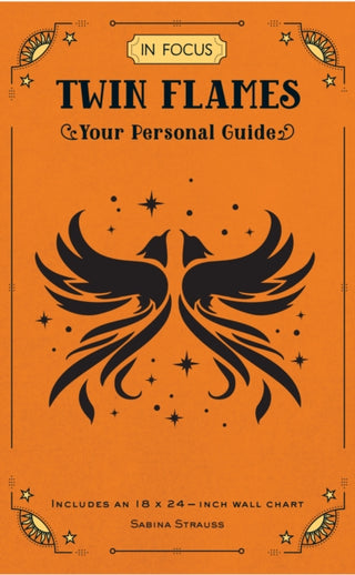 Cover image for 9781577157434 - In Focus Twin Flames