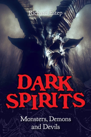 Cover image for 9781578598472 - Dark Spirits