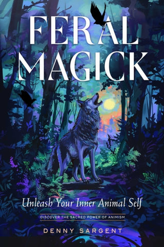 Cover image for 9781578638512 - Feral Magick