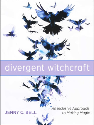 Cover image for 9781578639168 - Divergent Witchcraft
