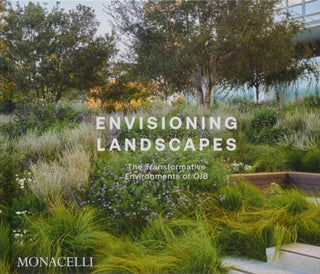 Cover image for 9781580937412 - Envisioning Landscapes