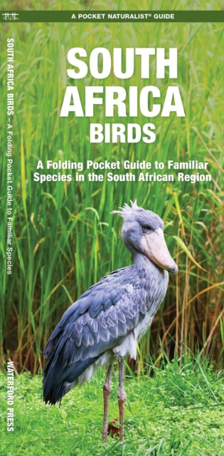 Cover image for 9781583559864 - South Africa Birds