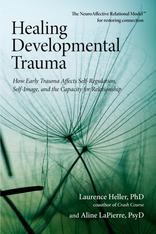 Cover image for 9781583944899 - Healing Developmental Trauma
