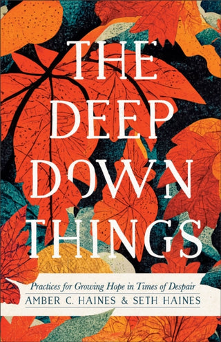 Cover image for 9781587435638 - The Deep Down Things – Practices for Growing Hope in Times of Despair