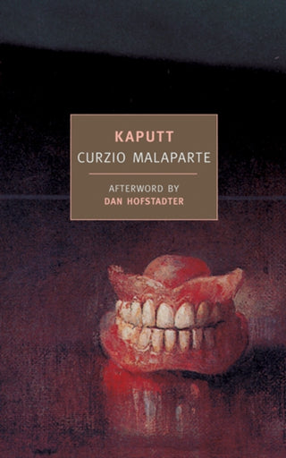 Cover image for 9781590171479 - Kaputt