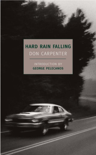 Cover image for 9781590173244 - Hard Rain Falling