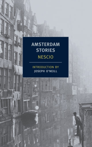 Cover image for 9781590174920 - Amsterdam Stories