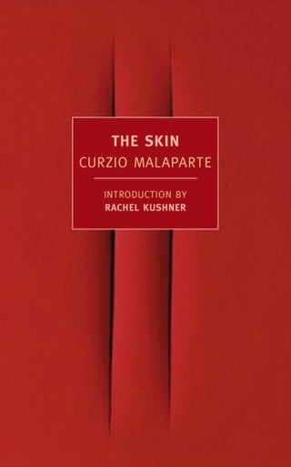 Cover image for 9781590176221 - The Skin
