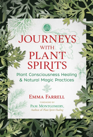 Cover image for 9781591434078 - Journeys with Plant Spirits