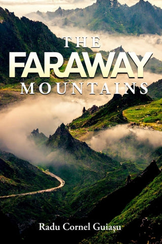 Cover image for 9781592113170 - The Faraway Mountains