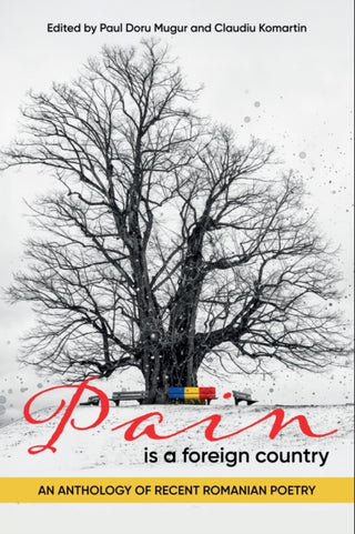 Cover image for 9781592116041 - Pain Is a Foreign Country