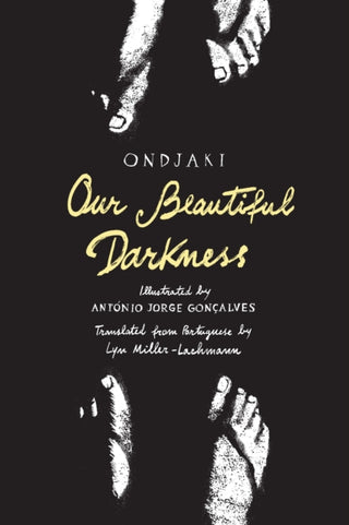 Cover image for 9781592704101 - Our Beautiful Darkness