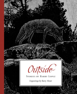 Cover image for 9781595343192 - Outside
