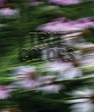 Cover image for 9781597115179 - Zora J Murff: True Colors (or, Affirmations in a Crisis)