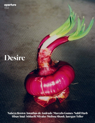 Cover image for 9781597115506 - Desire: Aperture 253