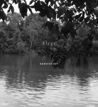 Cover image for 9781597115643 - Dawoud Bey: Elegy