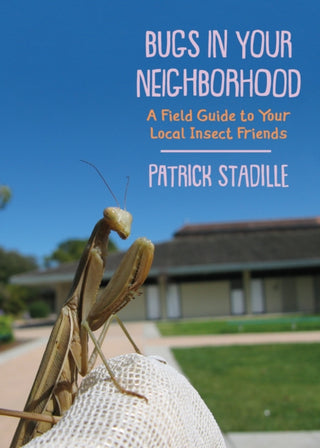 Cover image for 9781597146838 - Bugs in Your Neighborhood