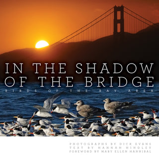 Cover image for 9781597146913 - In the Shadow of the Bridge