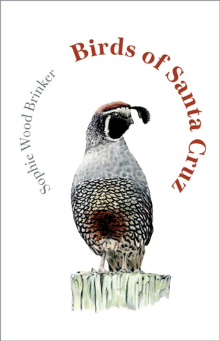 Cover image for 9781597147095 - Birds of Santa Cruz