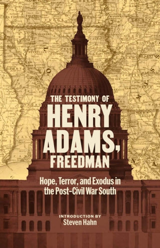 Cover image for 9781598538366 - The Testimony of Henry Adams, Freedman