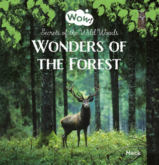 Cover image for 9781605378565 - Wonders of the Forest. Secrets of the Wild Woods