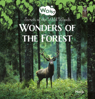 Supplemental image for 9781605378565 - Wonders of the Forest. Secrets of the Wild Woods