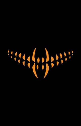 Cover image for 9781608862191 - Something is Killing the Children Book Two Deluxe Edition Slipcase Edition