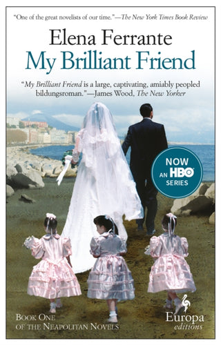 Cover image for 9781609450786 - My Brilliant Friend