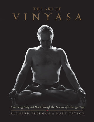 Cover image for 9781611802795 - The Art of Vinyasa