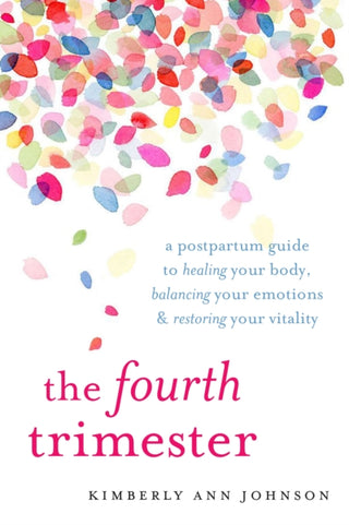 Cover image for 9781611804003 - The Fourth Trimester