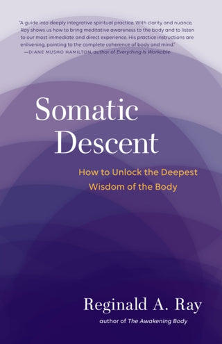 Cover image for 9781611805666 - Somatic Descent