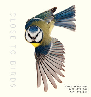 Cover image for 9781611807103 - Close to Birds