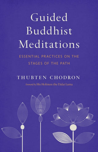 Cover image for 9781611807301 - Guided Buddhist Meditations