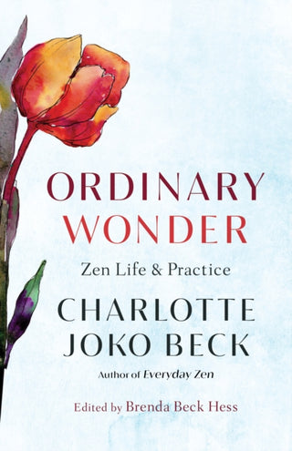 Cover image for 9781611808773 - Ordinary Wonder