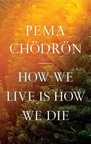 Cover image for 9781611809244 - How We Live Is How We Die