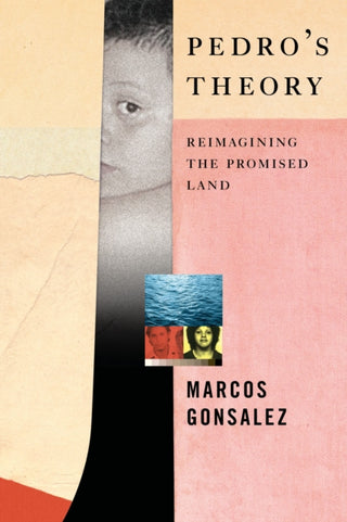 Cover image for 9781612198620 - Pedro's Theory