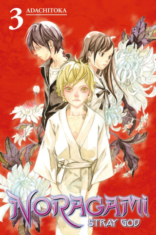 Cover image for 9781612629087 - Noragami: Stray God 3