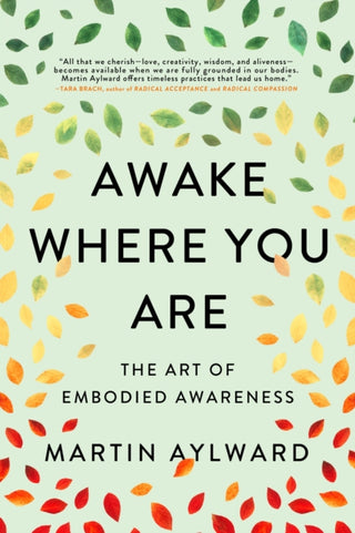Cover image for 9781614297222 - Awake Where You Are