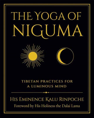 Cover image for 9781614299523 - The Yoga of Niguma