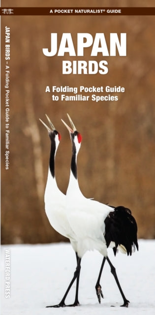 Cover image for 9781620052761 - Japan Birds