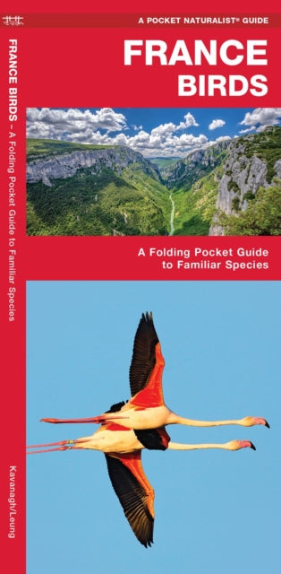 Cover image for 9781620053447 - France Birds