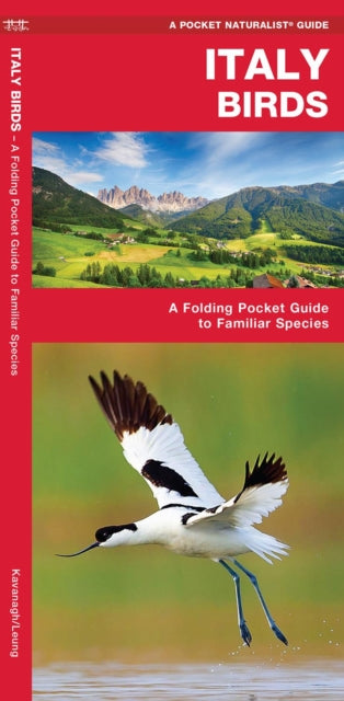 Cover image for 9781620053461 - Italy Birds