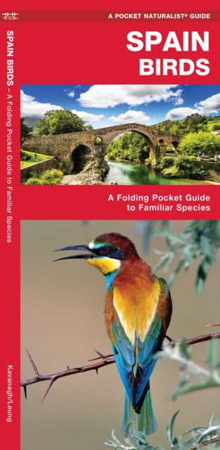 Cover image for 9781620053492 - Spain Birds