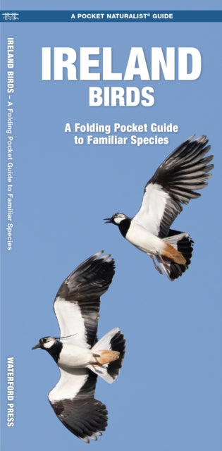 Cover image for 9781620053539 - Ireland Birds, 2nd Ed