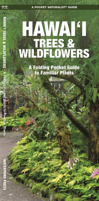 Cover image for 9781620056431 - Hawai'i Trees & Wildflowers, 2nd Ed