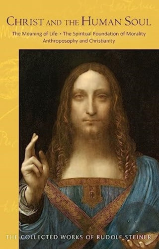 Cover image for 9781621483199 - Christ and the Human Soul