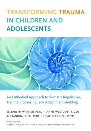 Cover image for 9781623172589 - Transforming Trauma in Children and Adolescents