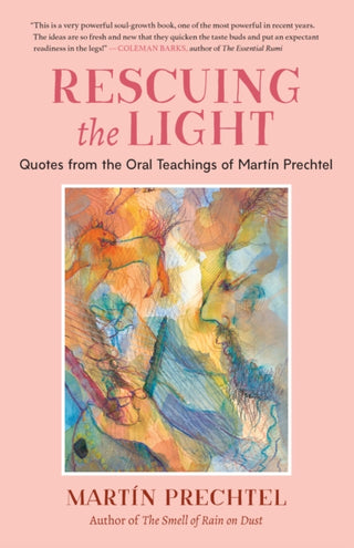Cover image for 9781623176273 - Rescuing the Light